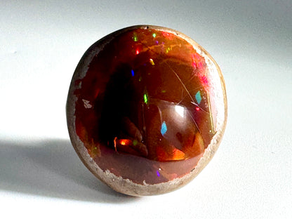 Ethiopian Shewa Opal: Polished Chocolate Opal Gemstone 11.83 Grams