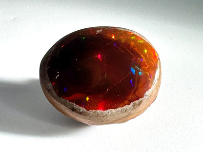 Ethiopian Shewa Opal: Polished Chocolate Opal Gemstone 11.83 Grams