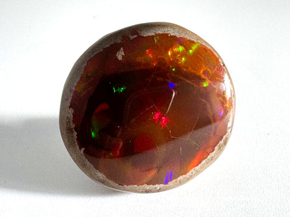 Ethiopian Shewa Opal: Polished Chocolate Opal Gemstone 11.83 Grams