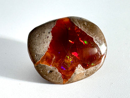 Ethiopian Shewa Opal: Polished Chocolate Opal Gemstone 6.1 Grams