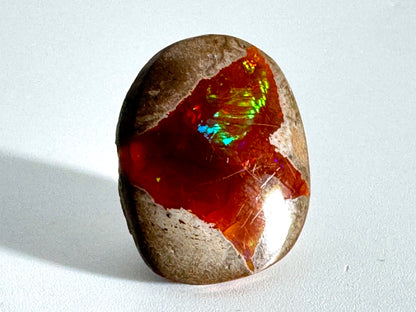 Ethiopian Shewa Opal: Polished Chocolate Opal Gemstone 6.1 Grams