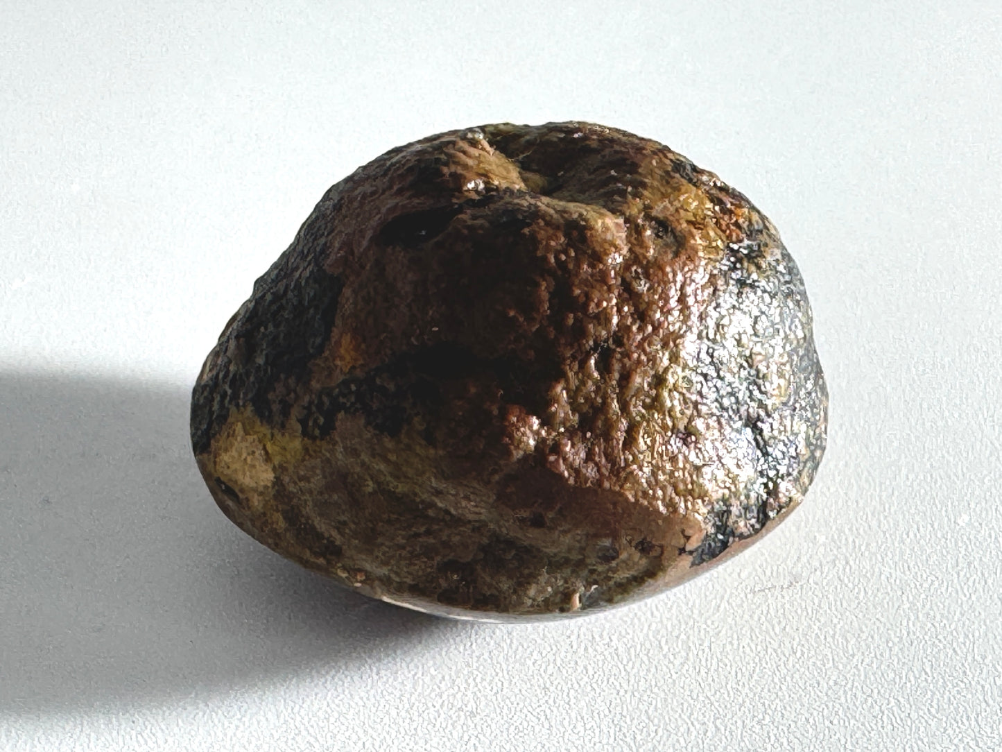 Ethiopian Shewa Opal: Polished Chocolate Opal Gemstone 12.63 Grams