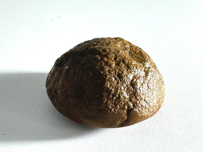 Ethiopian Shewa Opal: Polished Chocolate Opal Gemstone 11.26 Grams