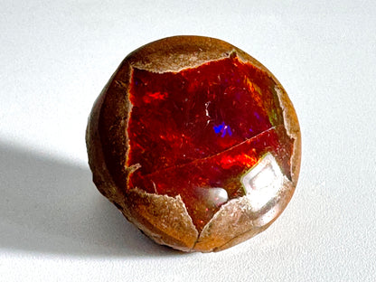 Ethiopian Shewa Opal: Polished Chocolate Opal Gemstone 11.26 Grams