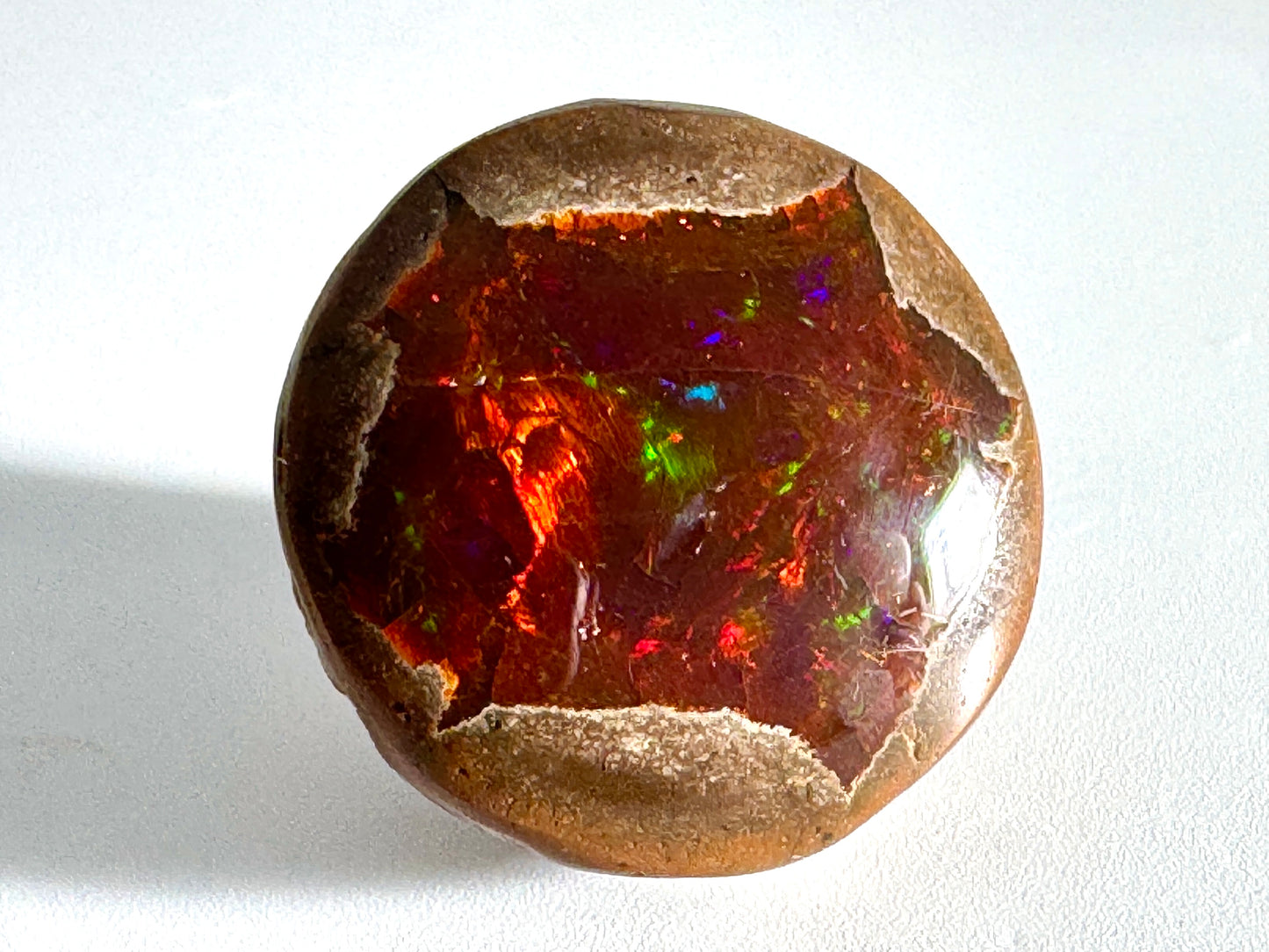 Ethiopian Shewa Opal: Polished Chocolate Opal Gemstone 11.26 Grams