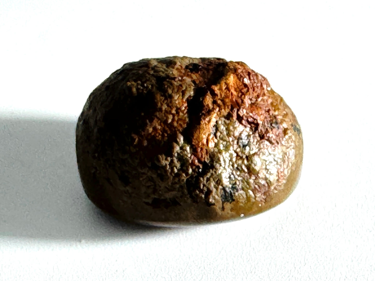 Ethiopian Shewa Opal: Polished Chocolate Opal Gemstone 7.11 Grams