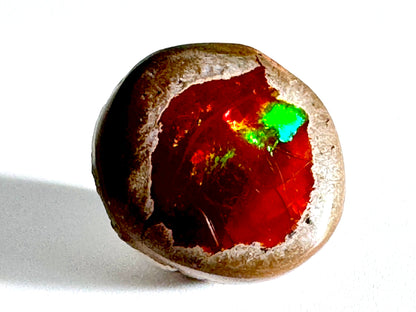 Ethiopian Shewa Opal: Polished Chocolate Opal Gemstone 7.11 Grams