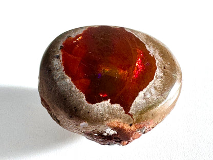 Ethiopian Shewa Opal: Polished Chocolate Opal Gemstone 7.11 Grams