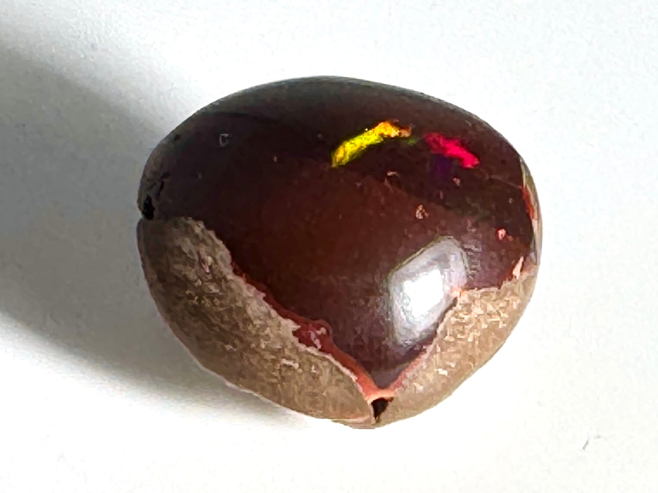 Ethiopian Shewa Opal: Polished Chocolate Opal Gemstone 14.46 Grams