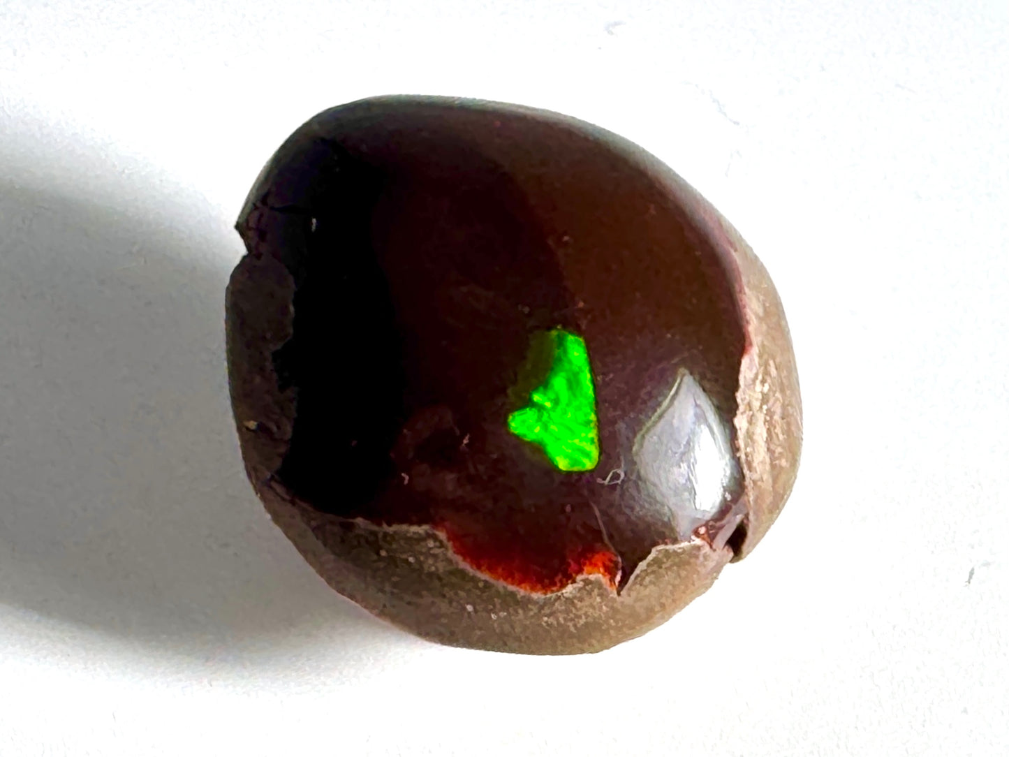 Ethiopian Shewa Opal: Polished Chocolate Opal Gemstone 14.46 Grams
