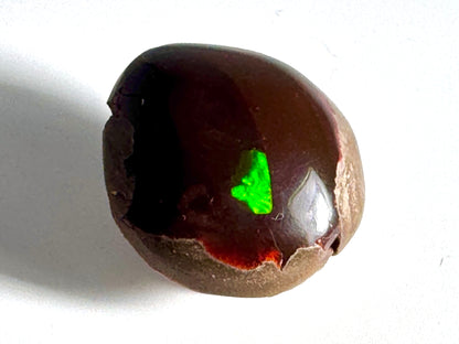 Ethiopian Shewa Opal: Polished Chocolate Opal Gemstone 14.46 Grams