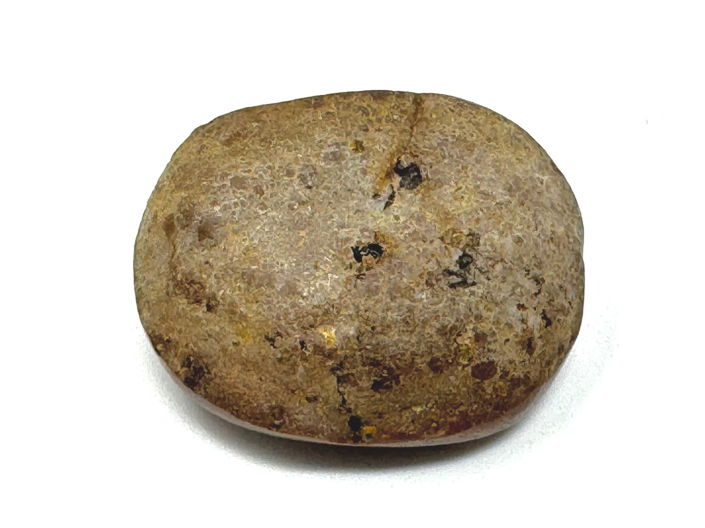 Ethiopian Shewa Opal: Polished Chocolate Opal Gemstone 5.68g