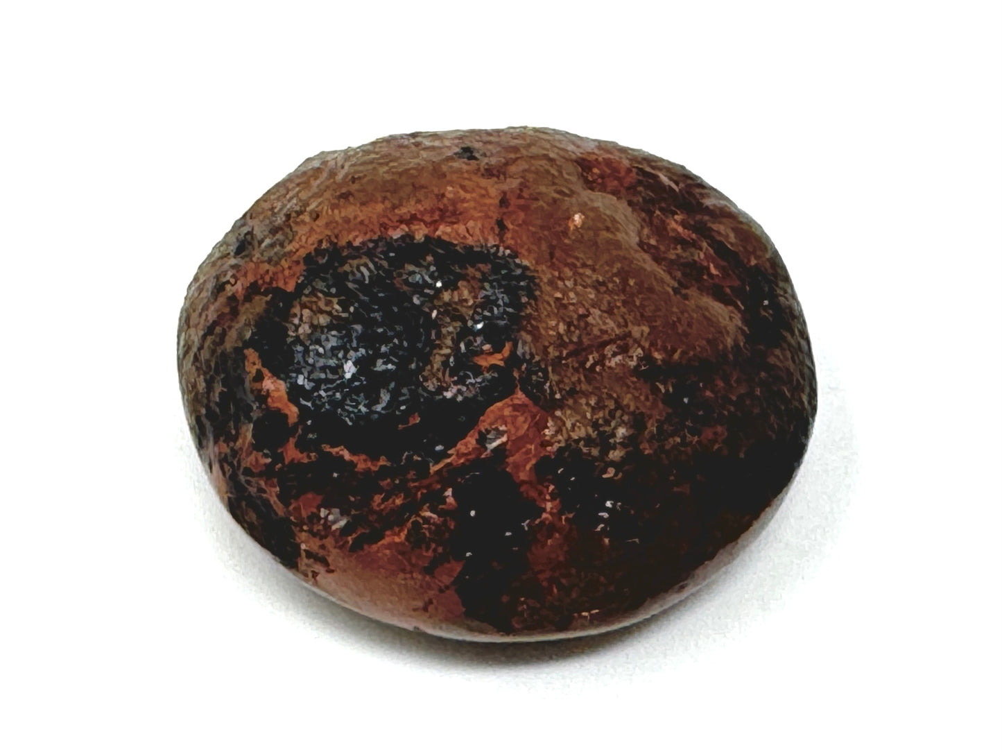 Ethiopian Shewa Opal: Polished Chocolate Opal Gemstone 11.72g