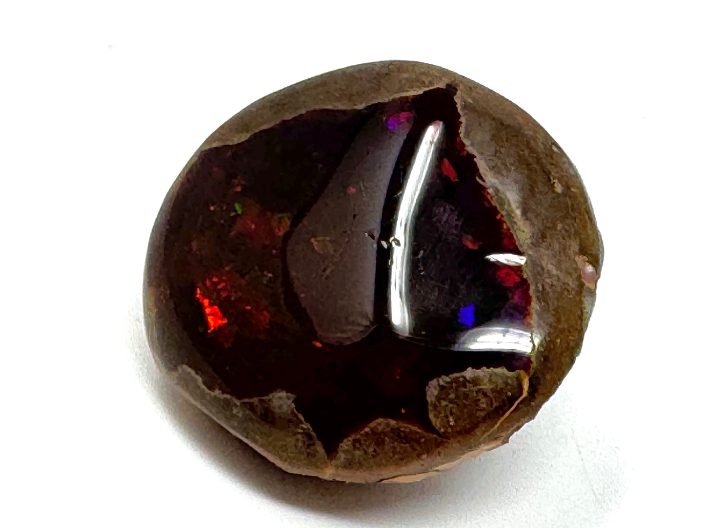 Ethiopian Shewa Opal: Polished Chocolate Opal Gemstone 12grams