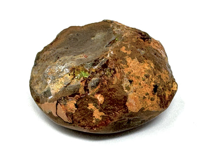 Ethiopian Shewa Opal: Polished Chocolate Opal Gemstone 12grams