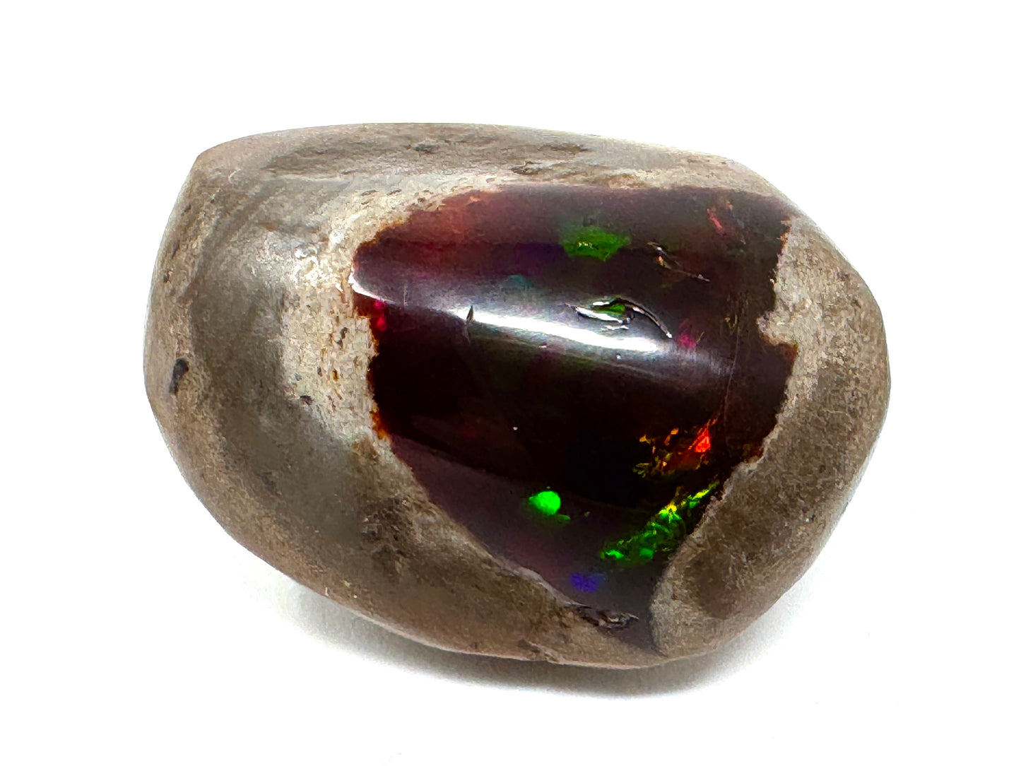 Ethiopian Shewa Opal: Polished Chocolate Opal Gemstone 7.45 Grams