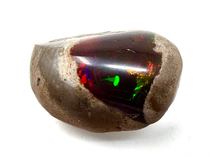 Ethiopian Shewa Opal: Polished Chocolate Opal Gemstone 7.45 Grams