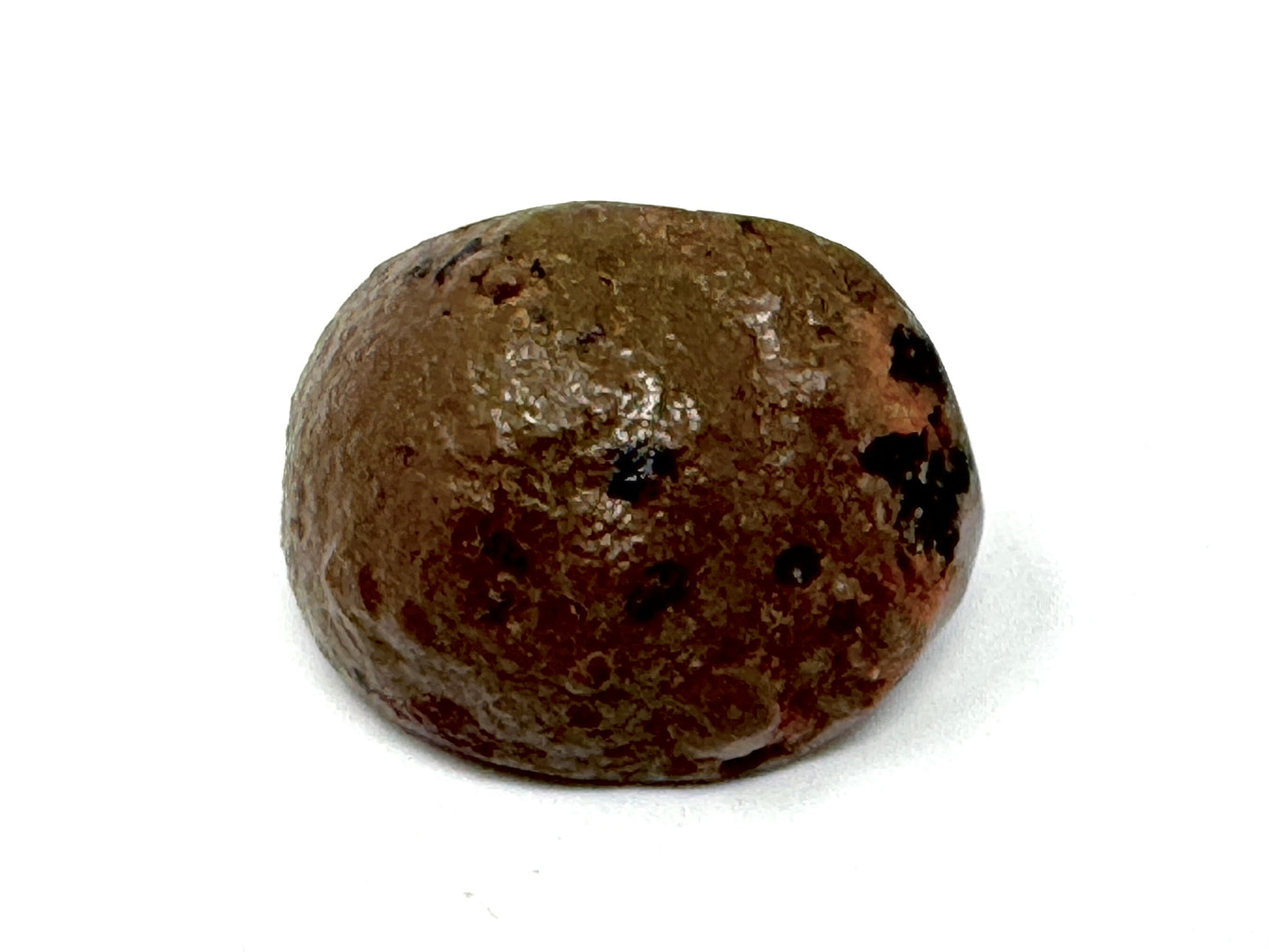 Ethiopian Shewa Opal: Polished Chocolate Opal Gemstone 7.45 Grams