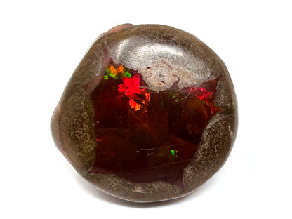 Large ethiopian Shewa Opal: Polished Chocolate Opal Gemstone 12.81 grams