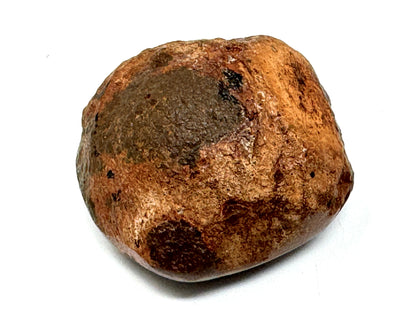 Large ethiopian Shewa Opal: Polished Chocolate Opal Gemstone 12.81 grams