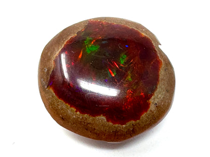 Ethiopian Shewa Opal: Polished Chocolate Opal Gemstone 9 grams