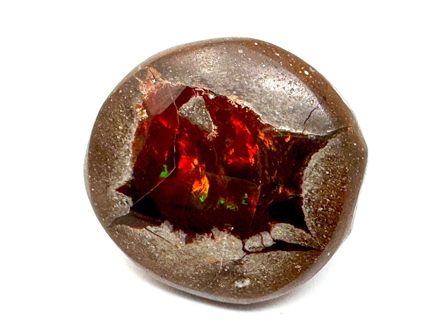 Ethiopian Shewa Opal: Polished Chocolate Opal Gemstone 9.51 grams