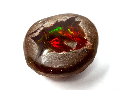 Ethiopian Shewa Opal: Polished Chocolate Opal Gemstone 9.51 grams