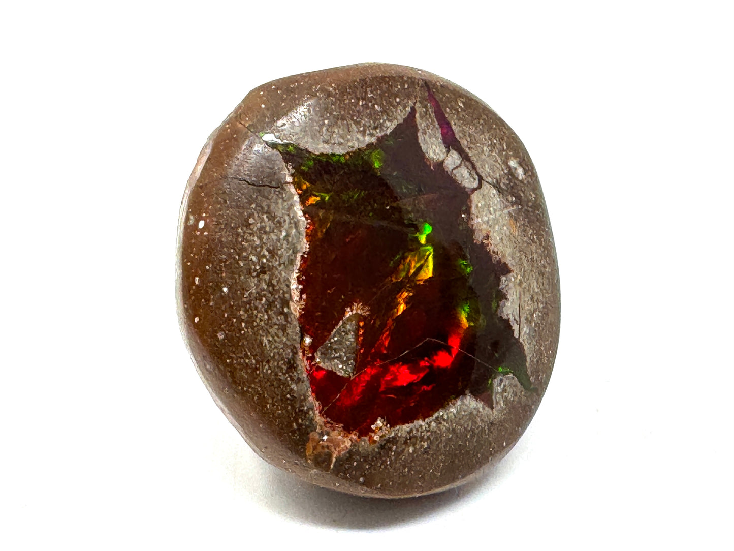 Ethiopian Shewa Opal: Polished Chocolate Opal Gemstone 9.51 grams