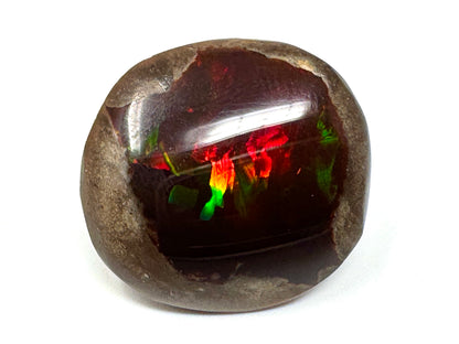 Ethiopian Shewa Opal: Polished Chocolate Opal Gemstone 5.59 grams