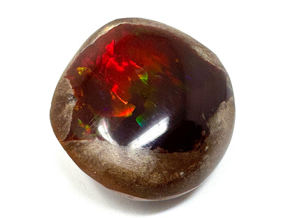 Ethiopian Shewa Opal: Polished Chocolate Opal Gemstone 5.59 grams