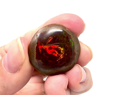 Ethiopian Shewa Opal: Polished Chocolate Opal Gemstone 9 grams