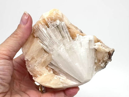 Natural Zeolite Crystal Scolecite on Stilbite 10.5cm