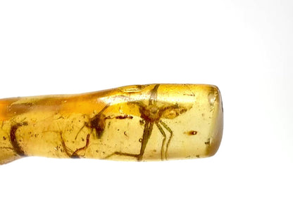 Copal With Insects 14.4cm