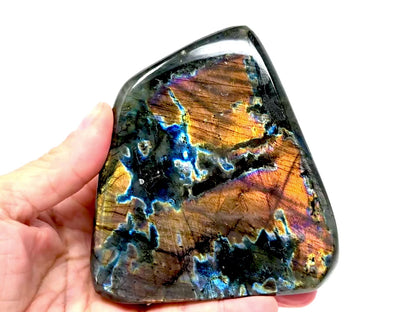 Rainbow Labradorite Freeform Crystal 10.6cm