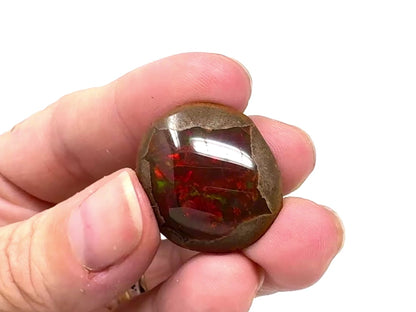 Ethiopian Shewa Opal: Polished Chocolate Opal Gemstone 7.92