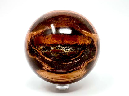 Fossil Wood Sphere 8.7cm