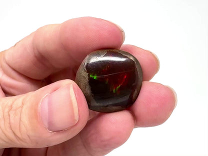Ethiopian Shewa Opal: Polished Chocolate Opal Gemstone 5.59 grams