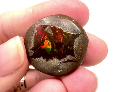 Ethiopian Shewa Opal: Polished Chocolate Opal Gemstone 9.51 grams