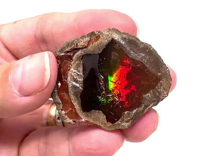 Ethiopian Shewa Opal: Natural Chocolate Opal Gemstone 22.31 grams