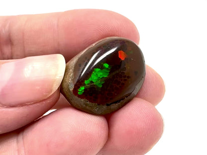 Ethiopian Shewa Opal: Polished Chocolate Opal Gemstone 5.68g