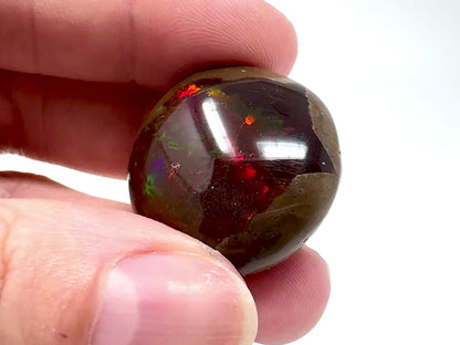 Ethiopian Shewa Opal: Polished Chocolate Opal Gemstone 11.72g