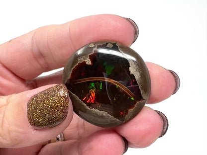 Ethiopian Shewa Opal: Polished Chocolate Opal Gemstone 14.71 grams