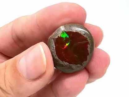 Ethiopian Shewa Opal: Polished Chocolate Opal Gemstone 7.11 Grams
