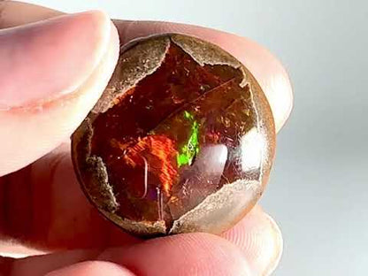 Ethiopian Shewa Opal: Polished Chocolate Opal Gemstone 11.26 Grams