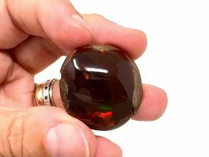 Ethiopian Shewa Opal: Polished Chocolate Opal Gemstone 14.46 Grams