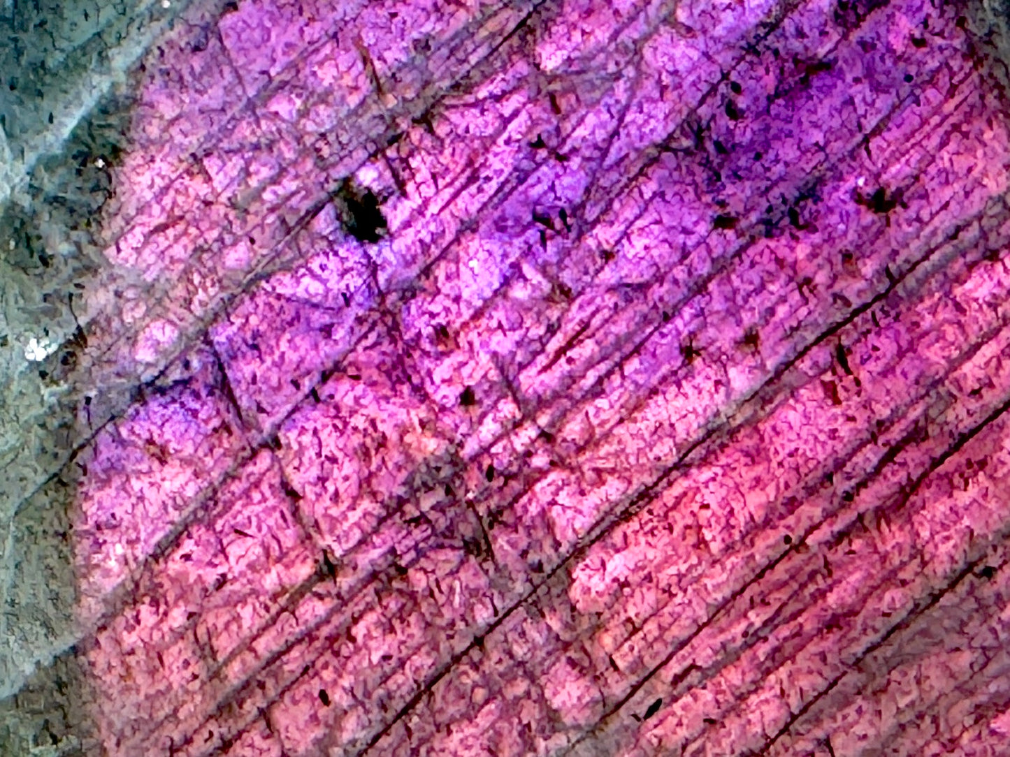 Purple Labradorite Freeform Crystal 4.8cm