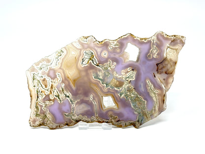 Large Druzy Purple Moss Agate Crystal Slice 20cm