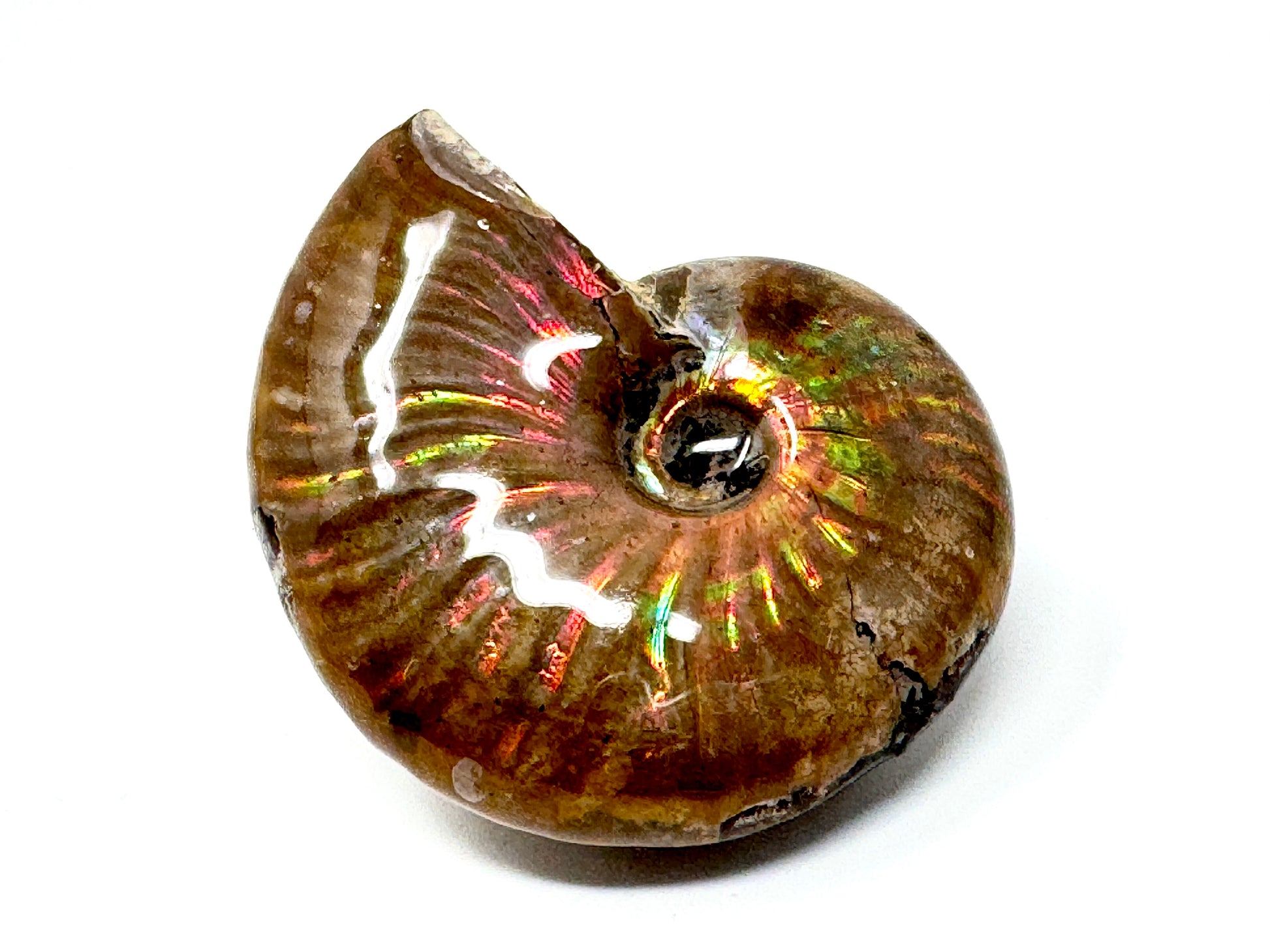 Kriti Sanon Housefull For Bala Movie Review Newest Housefull