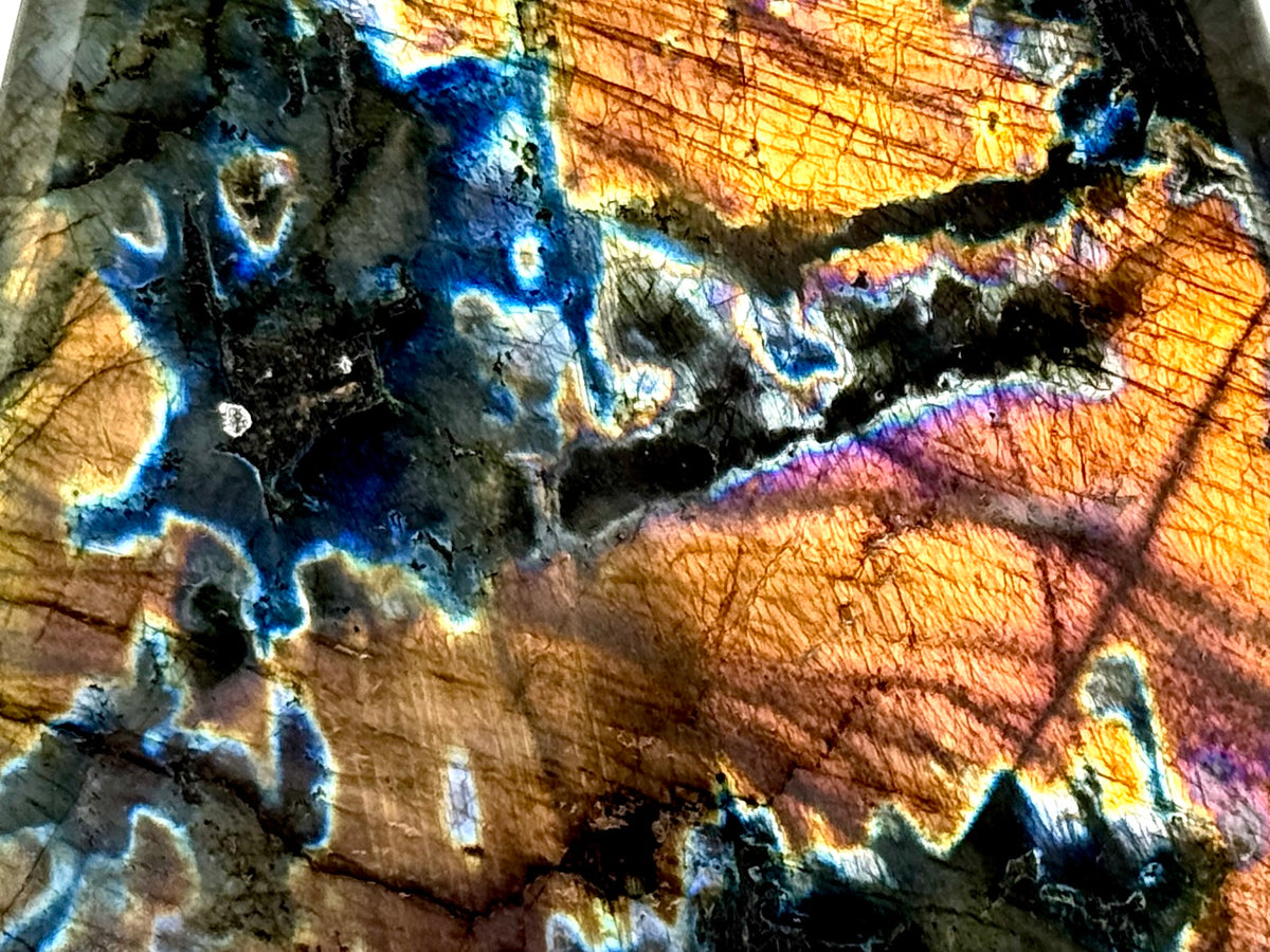 Rainbow Labradorite Freeform Crystal 10.6cm