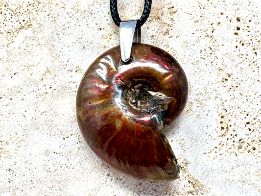 Red Iridescent Ammonite Pendant 3.6cm